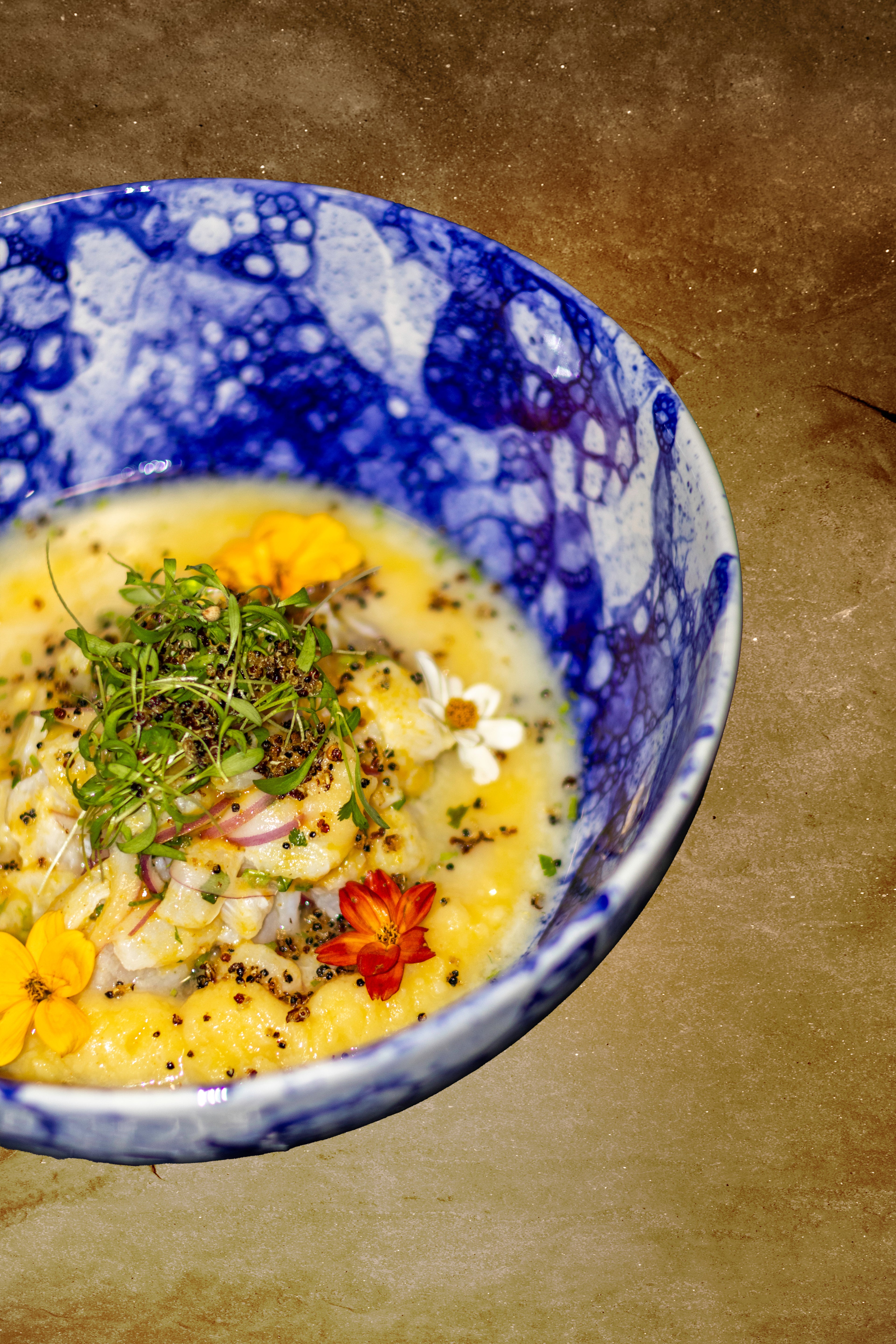 Ceviche (Tigre de Sol)